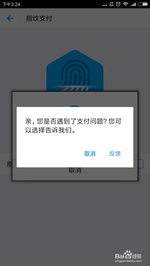 便捷与安全并行 安卓系统支付宝指纹支付与电子支付密码系统全解析